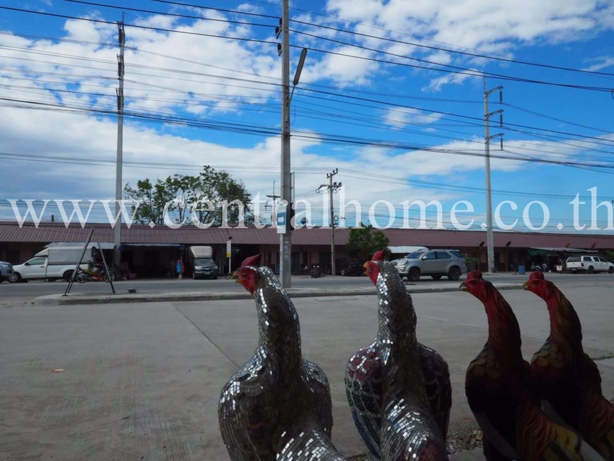 ขายอาคารพาณิชย์-3-ชั้นพร้อมผู้เช่า-ติดถนน-เนื้อที่-19-ตารางวา-ใกล้นิคมอมตะนคร-อีเทค-อพานทอง-จชลบ