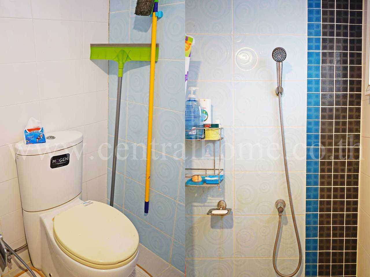 บ้านเดี่ยว-เดอะ-แพลนท์-เพรสทีจ-แจ้งวัฒนะ