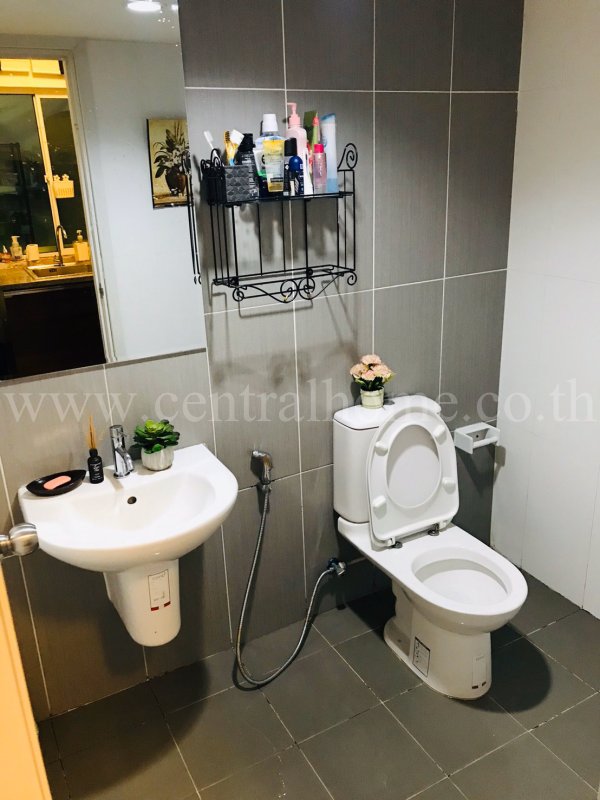 ทาวน์เฮ้าส์-บ้านพฤกษา-ไพร์ม-ราชพฤกษ์-ท่าน้ำนนท์-บางศรีเมือง