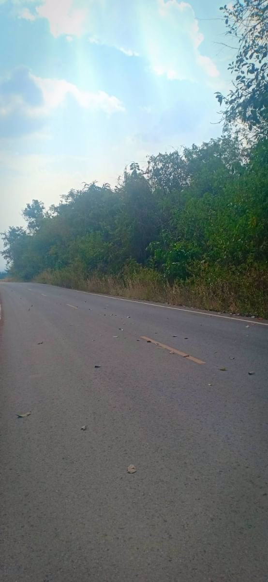 ขายที่ดินติดถนนลาดยาง-หน้ากว้าง-200ตรว