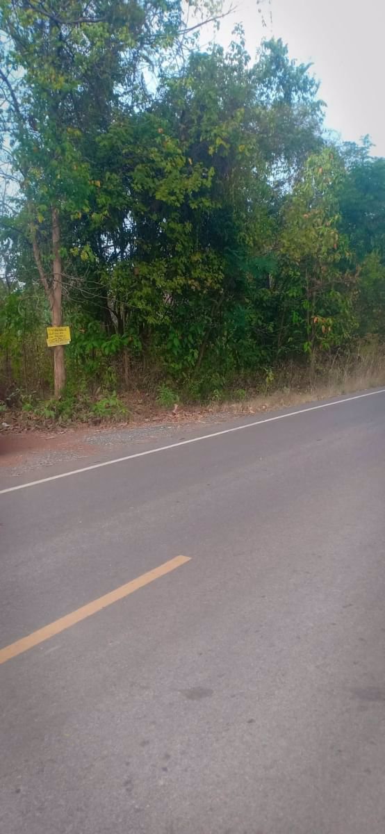 ขายที่ดินติดถนนลาดยาง-หน้ากว้าง-200ตรว