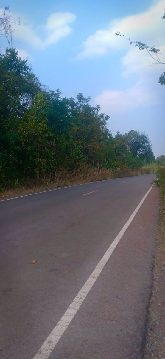 ขายที่ดินติดถนนลาดยาง-หน้ากว้าง-200ตรว