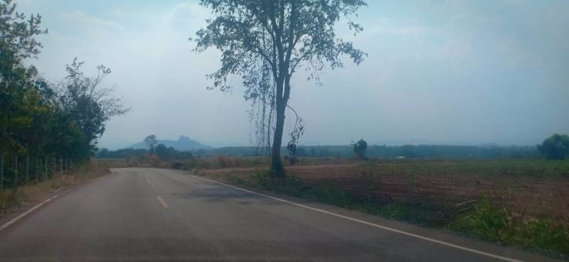 ขายที่ดินติดถนนลาดยาง-หน้ากว้าง-200ตรว