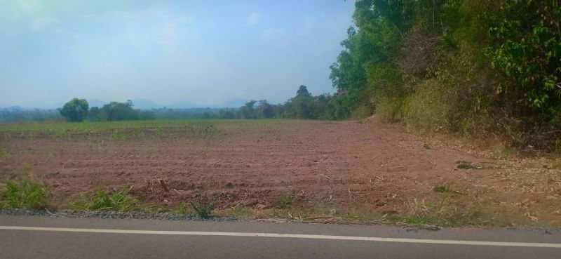 ขายที่ดินติดถนนลาดยาง-หน้ากว้าง-200ตรว