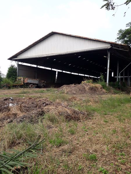 ขายที่ดินถมแล้ว-เนื้อที่-13-ไร่-ติดถนนสายชนบท-2-เลนส์-คลอง-8-หนองเสือ