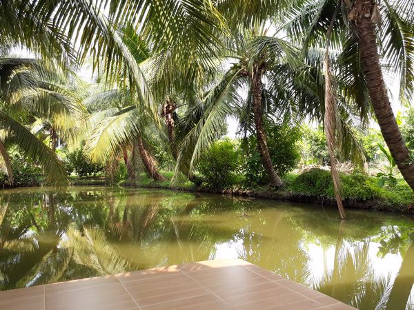 ขายที่ดินถมแล้ว-เนื้อที่-13-ไร่-ติดถนนสายชนบท-2-เลนส์-คลอง-8-หนองเสือ