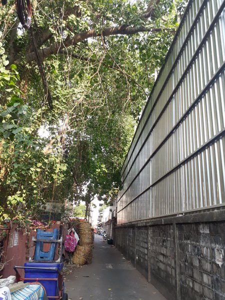 ขายที่ดินถมแล้ว-เนื้อที่-1-ไร่-1-งาน-65-ตารางวา-ซอยมิตรอนันต์-ถนนนครไชยศรี