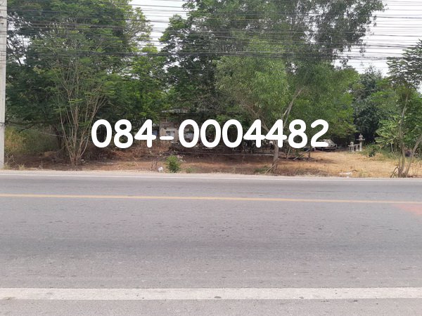 ขายที่ดิน-เนื้อที่-49-ไร่-ติดถนน-2-เลนส์-คลองห้า-ใกล้สนามกอล์ฟอัลไพน์-ปทุมธานี