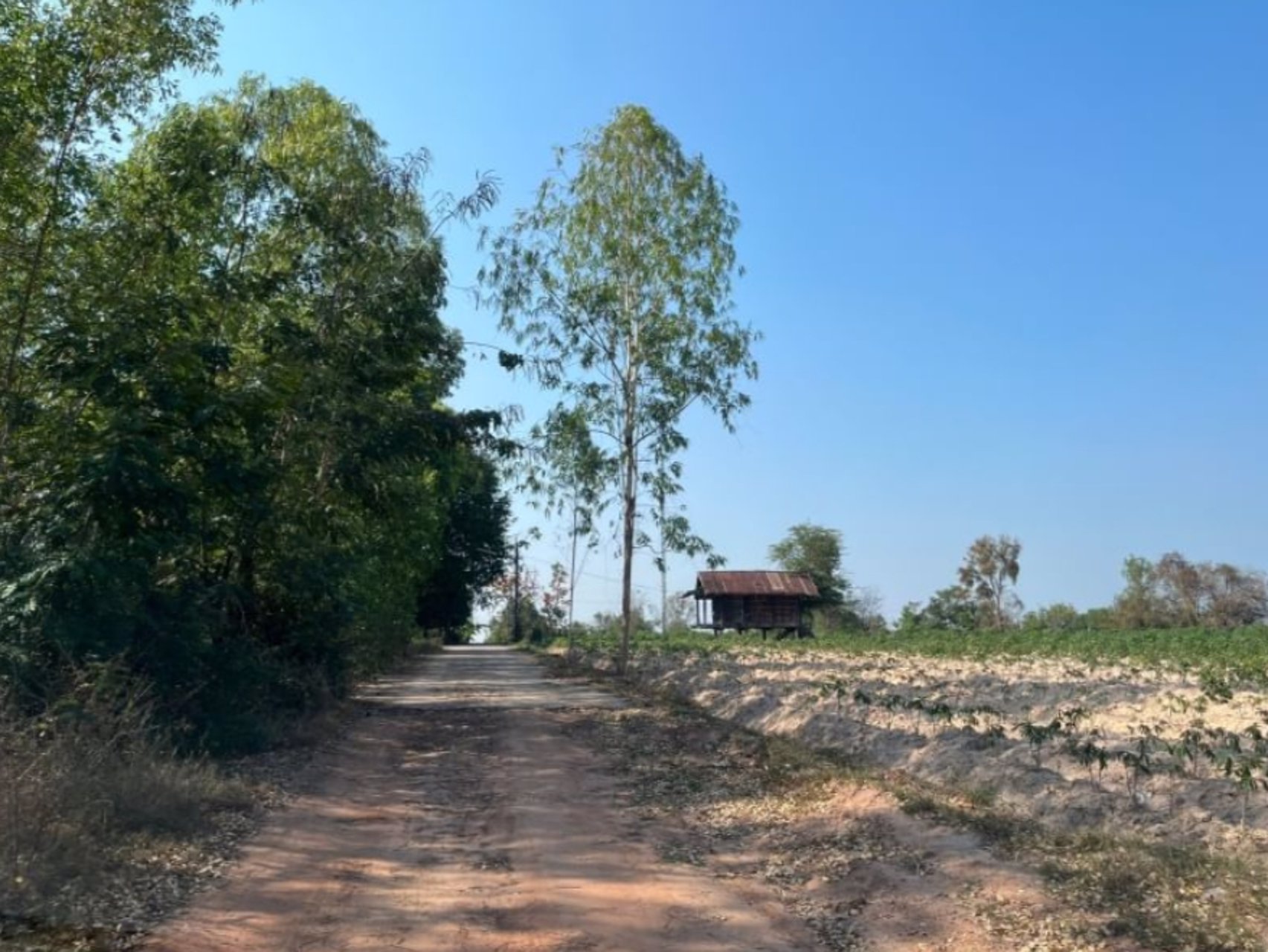 ขายที่ดิน-2-ไร่-2งาน-53ตรว-ราคา-390000-บาท