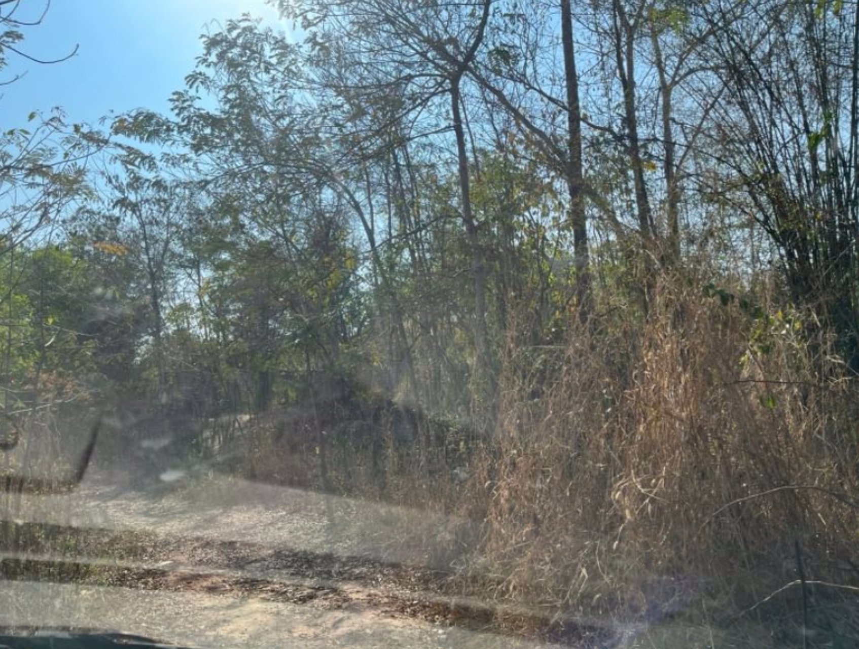 ขายที่ดิน-2-ไร่-2งาน-53ตรว-ราคา-390000-บาท