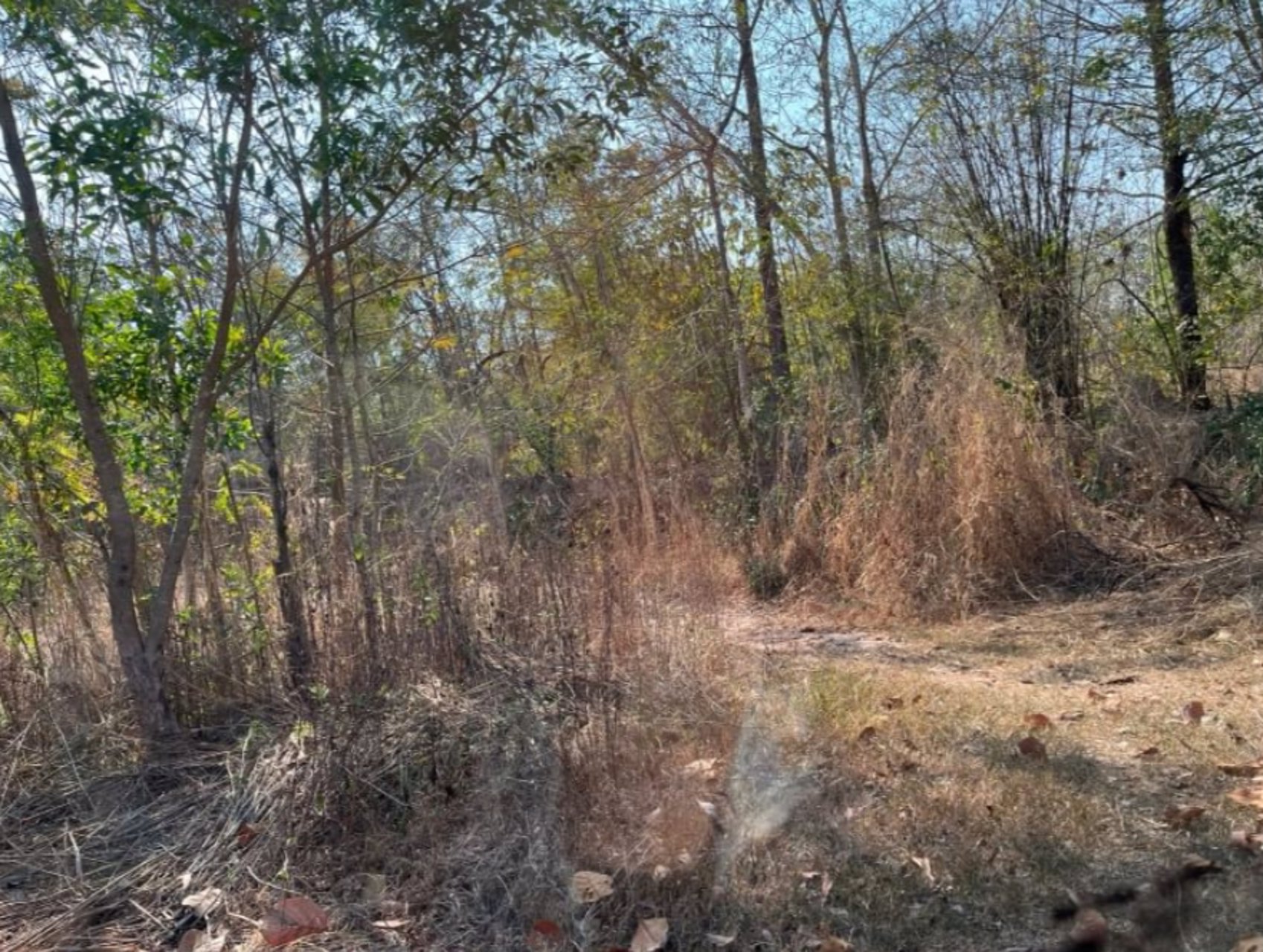 ขายที่ดิน-2-ไร่-2งาน-53ตรว-ราคา-390000-บาท