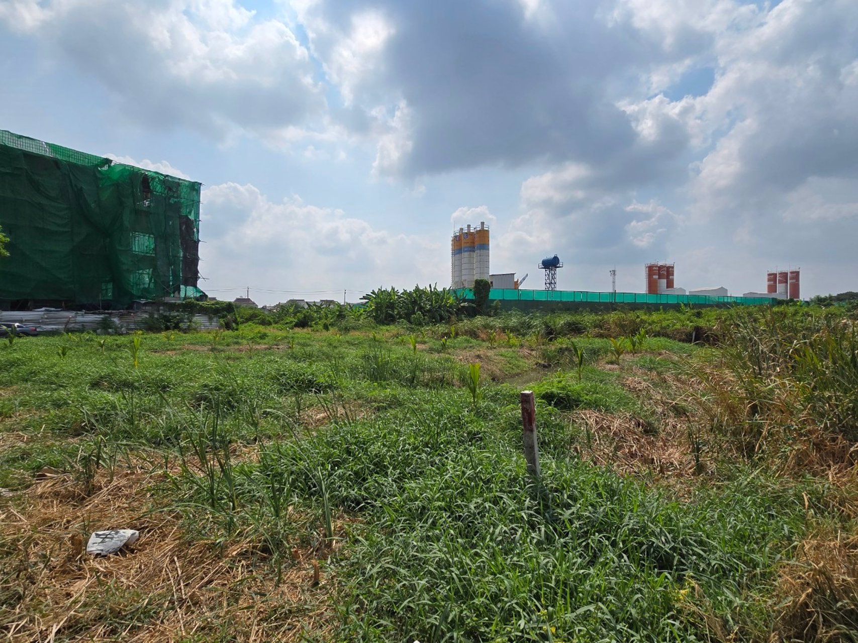 ขายที่ดิน-99-ตารางวา-ซอยประเสริฐมนูกิจ-25-แยก-2