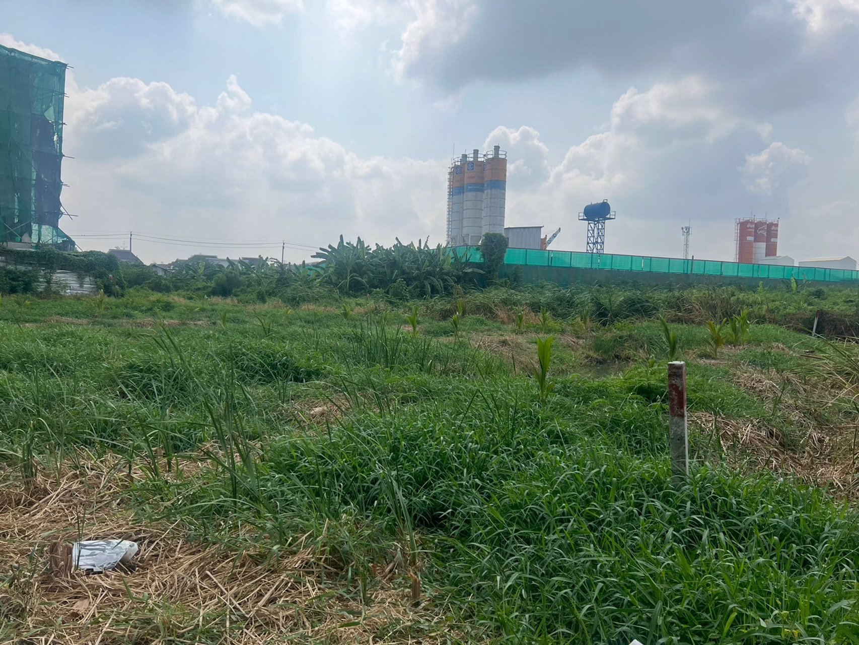 ขายที่ดิน-99-ตารางวา-ซอยประเสริฐมนูกิจ-25-แยก-2