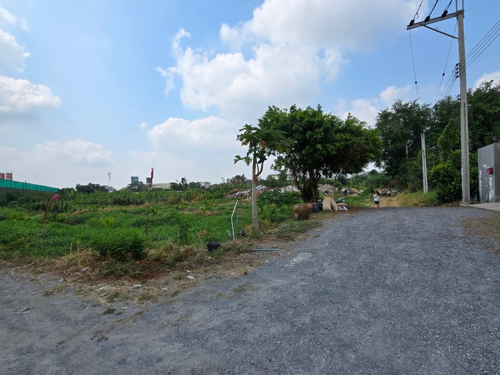 ขายที่ดิน-99-ตารางวา-ซอยประเสริฐมนูกิจ-25-แยก-2