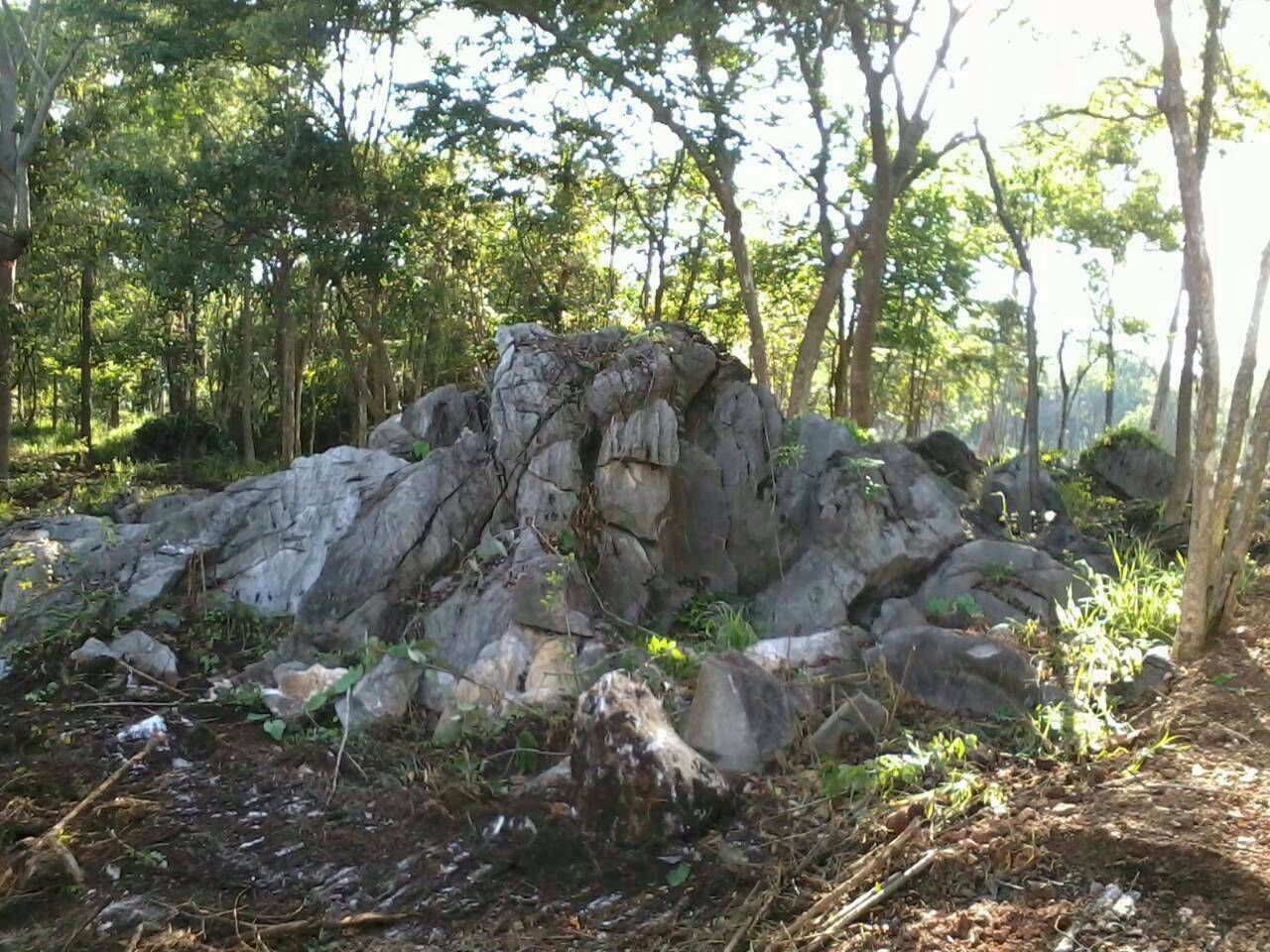 ที่ดินเขาใหญ่-พญาเย็น-25-ไร่-1-งาน