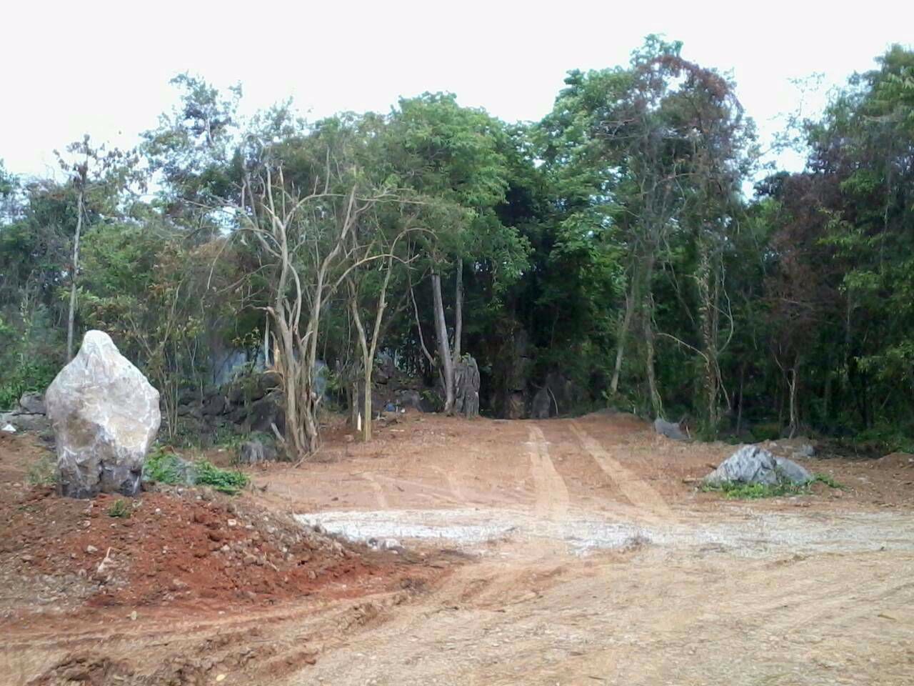 ที่ดินเขาใหญ่-พญาเย็น-25-ไร่-1-งาน