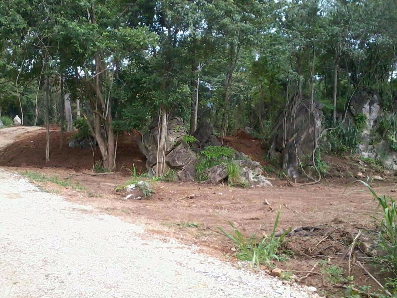 ที่ดินเขาใหญ่-พญาเย็น-25-ไร่-1-งาน