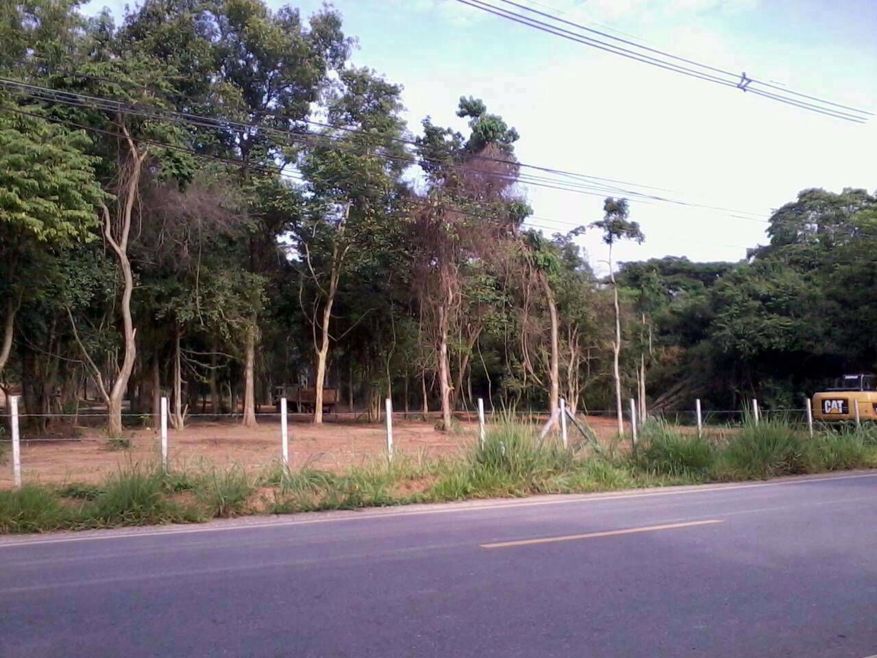 ที่ดินเขาใหญ่-พญาเย็น-25-ไร่-1-งาน