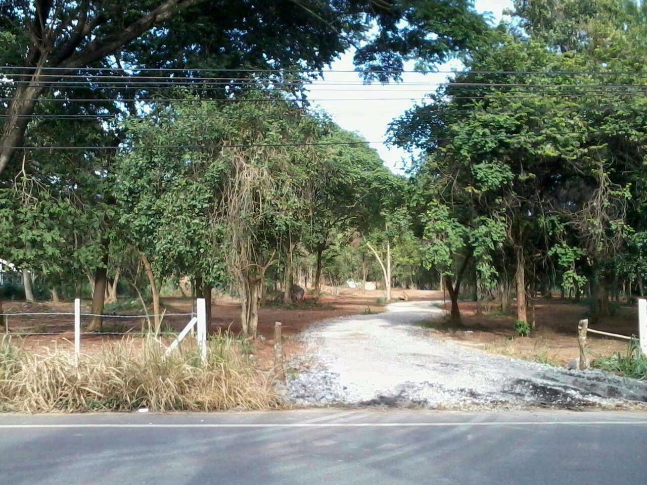 ที่ดินเขาใหญ่-พญาเย็น-25-ไร่-1-งาน