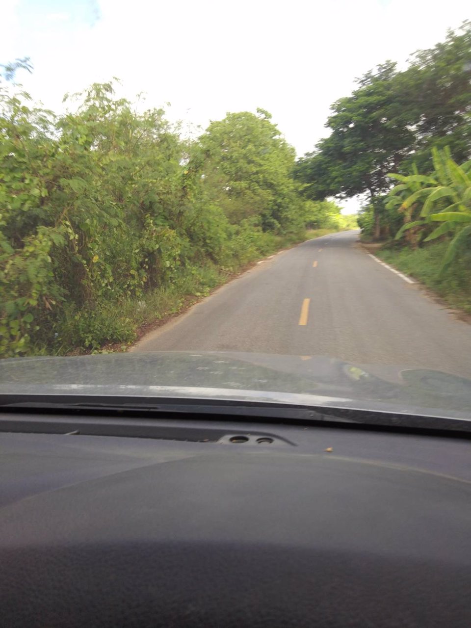 ขายที่ดิน-ตน้ำดิบอป่าซางจลำพูน-เหมาะสำหรับทำรีสอร์ท-ธุรกิจบ้านพัก