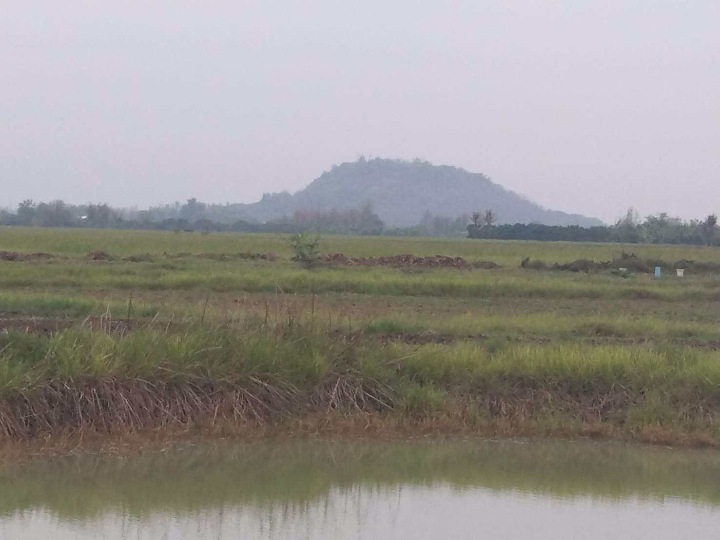 ขายที่ดิน-ตน้ำดิบอป่าซางจลำพูน-เหมาะสำหรับทำรีสอร์ท-ธุรกิจบ้านพัก