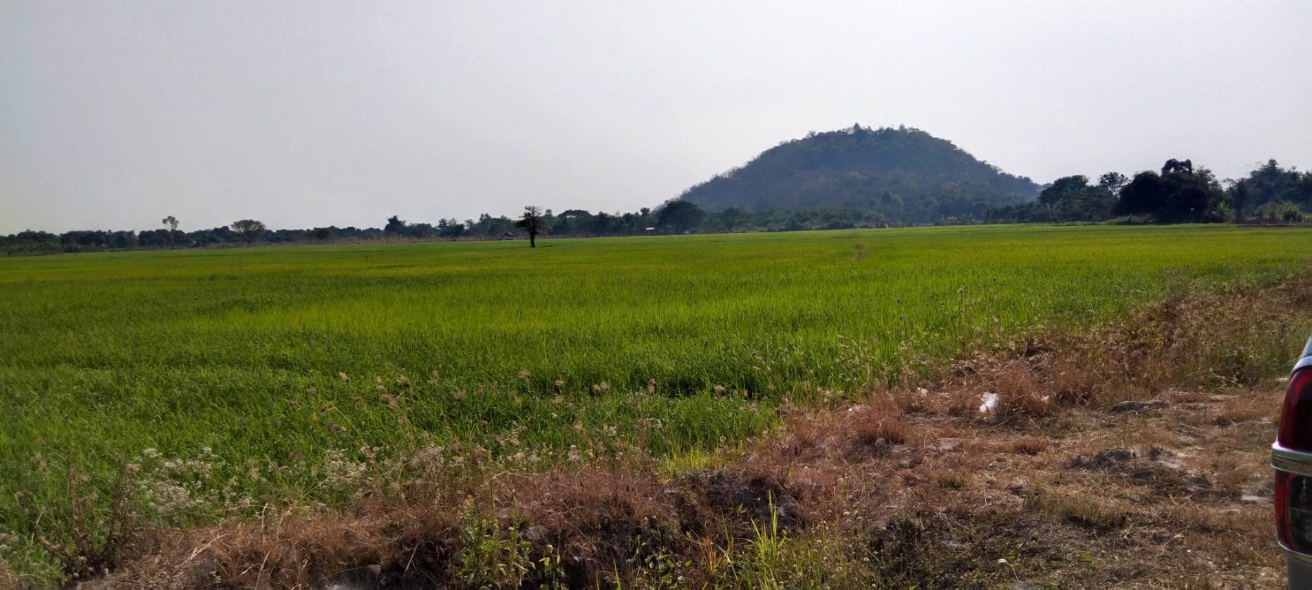 ขายที่ดิน-ตน้ำดิบอป่าซางจลำพูน-เหมาะสำหรับทำรีสอร์ท-ธุรกิจบ้านพัก