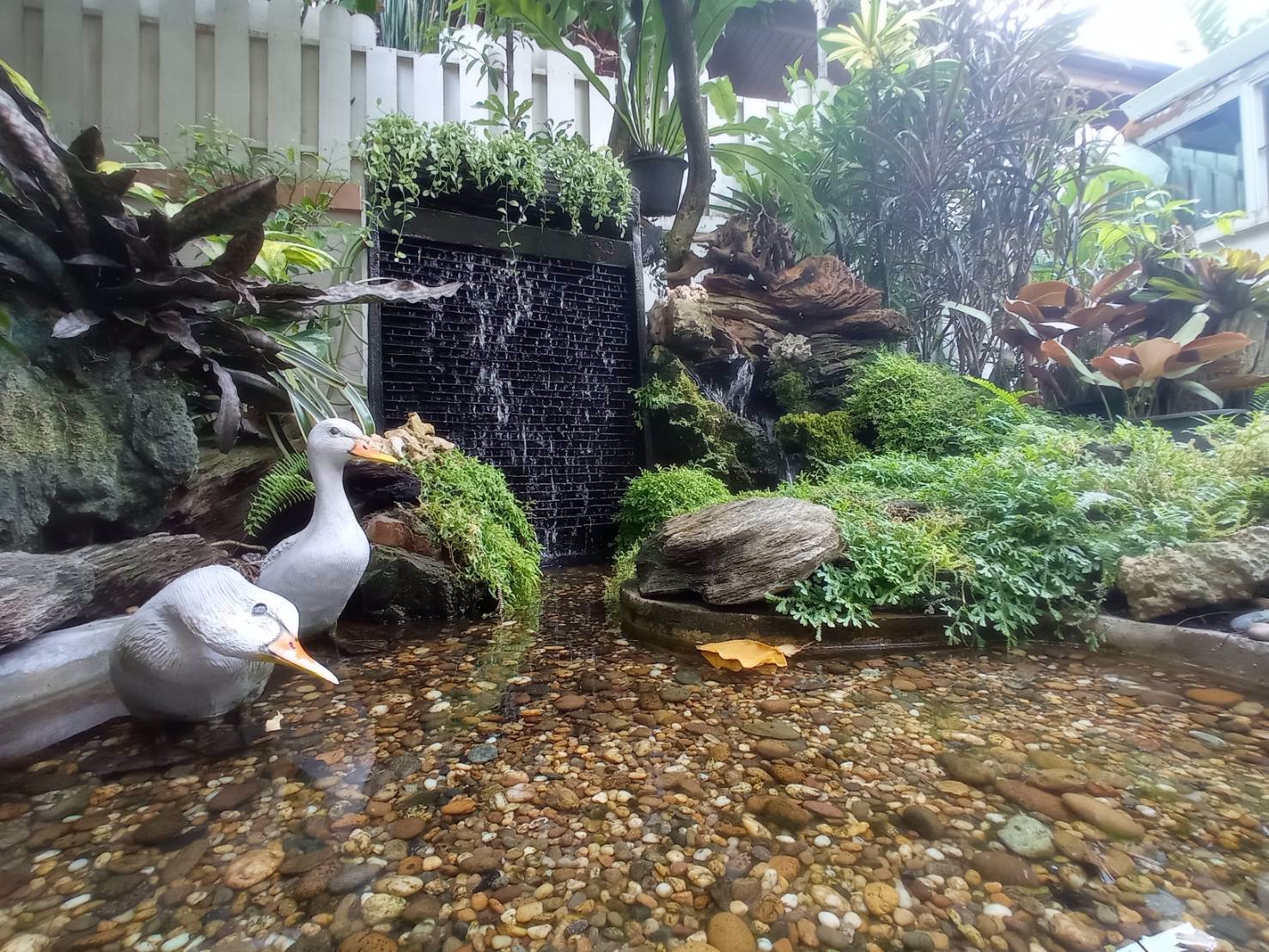 ขายด่วน-เจ้าของขายเอง-บ้านเดี่ยวหลังใหญ่-พร้อมเรือนรับรองอีก-1-หลัง