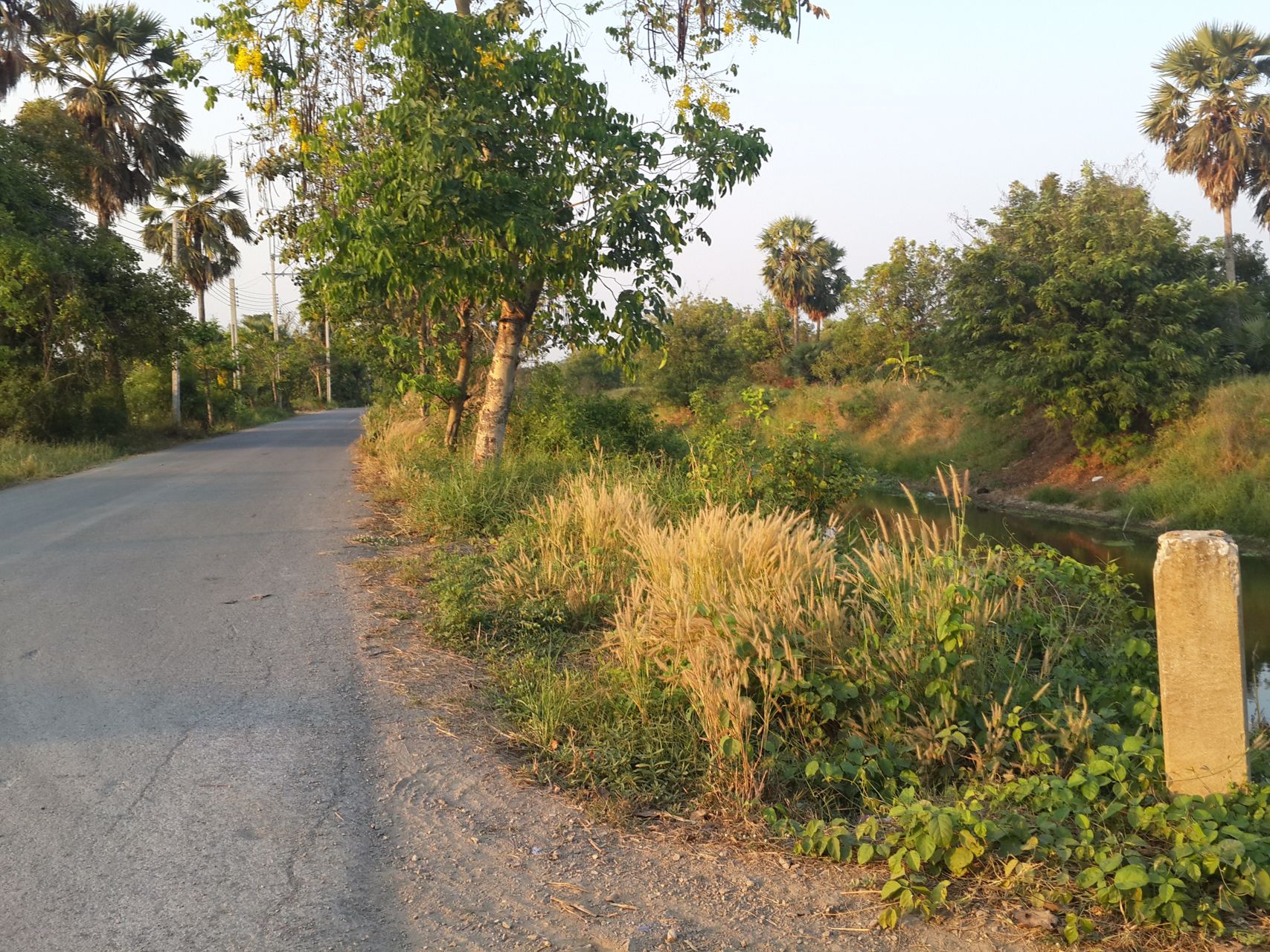 ขายที่ดินเปล่าถมแล้ว-ซอยวัดสุขใจ-15-คลองสามวา-กรุงเทพฯ