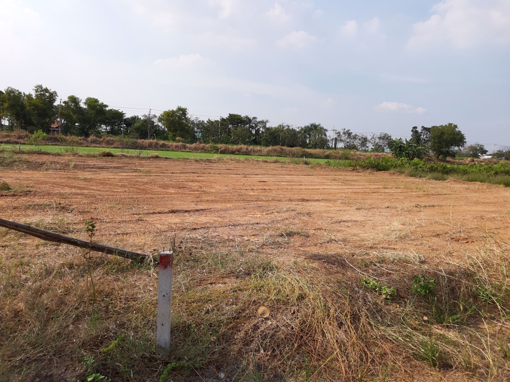 ขายที่ดินเปล่าถมแล้ว-ซอยวัดสุขใจ-15-คลองสามวา-กรุงเทพฯ