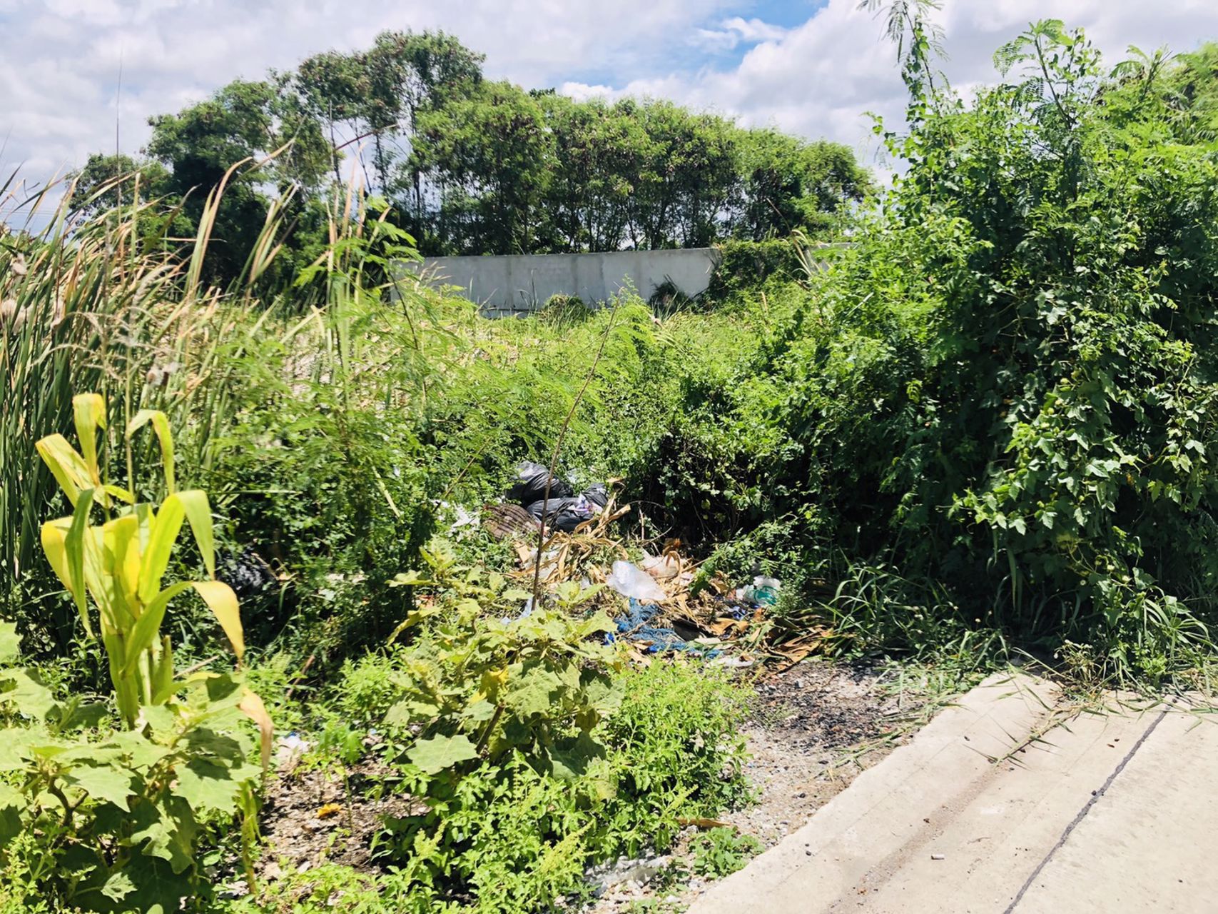 ขายที่ดิน-ทำเลดี-โฉนดพร้อมโอน-ซอยศรีด่าน-3-4-เมืองสมุทรปราการ