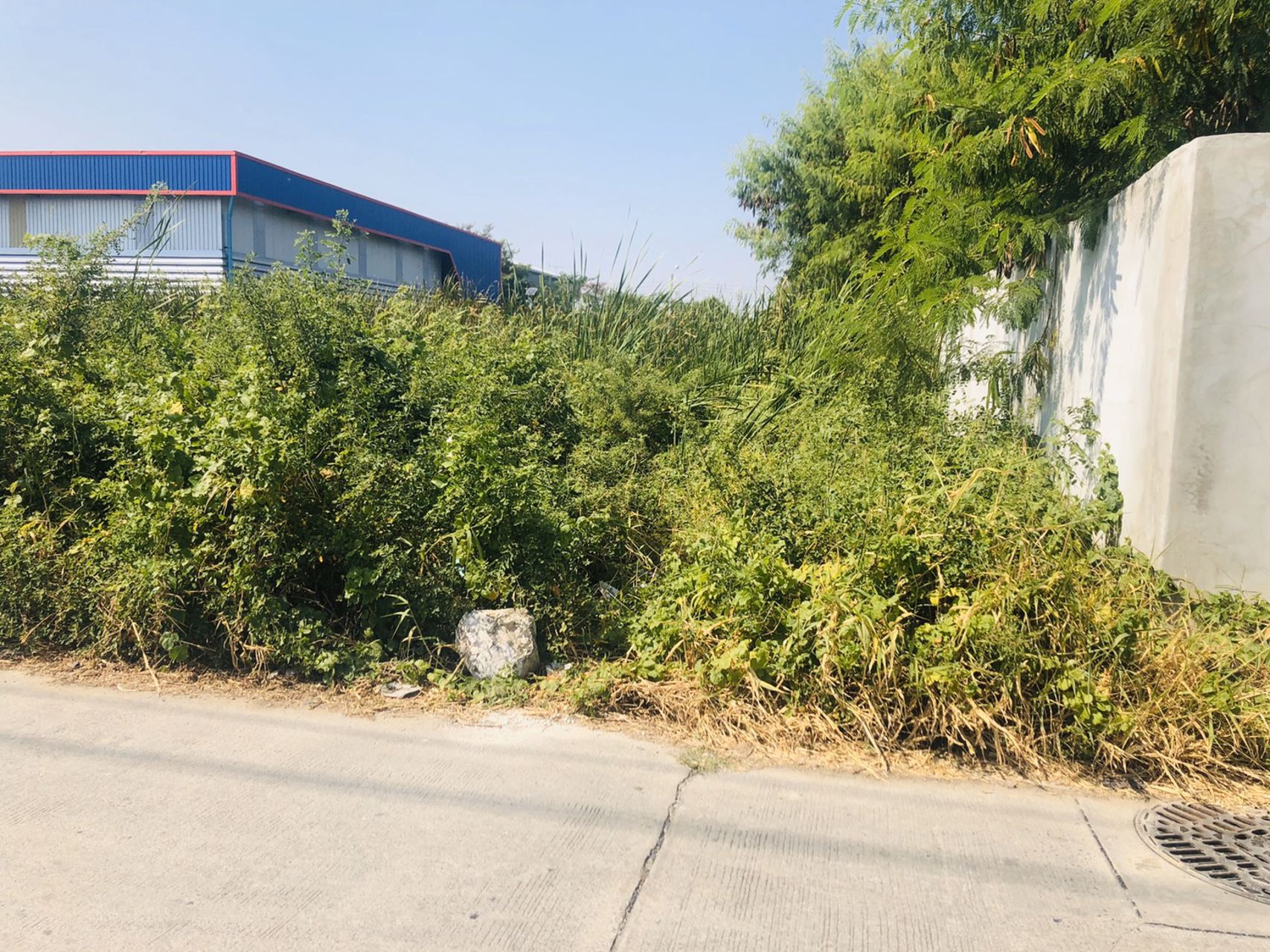 ขายที่ดิน-ทำเลดี-โฉนดพร้อมโอน-ซอยศรีด่าน-3-4-เมืองสมุทรปราการ