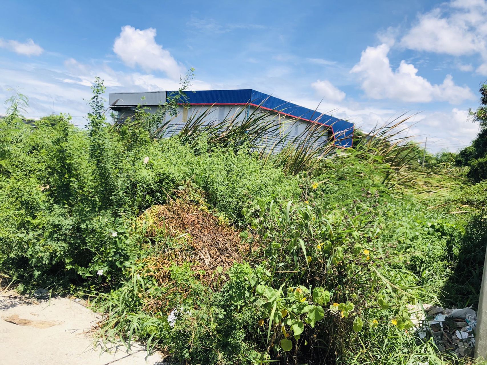 ขายที่ดิน-ทำเลดี-โฉนดพร้อมโอน-ซอยศรีด่าน-3-4-เมืองสมุทรปราการ