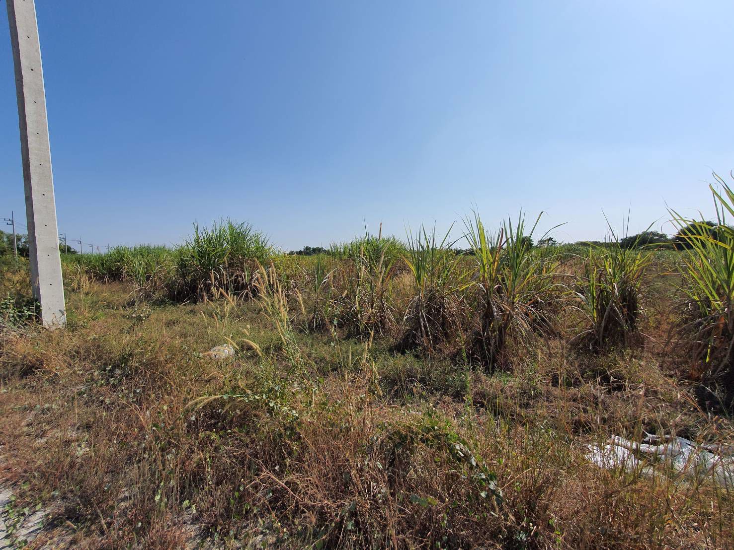 ขายที่ดินบ้านบึง-เนื้อที่-10-ไร่-ชลบุรี