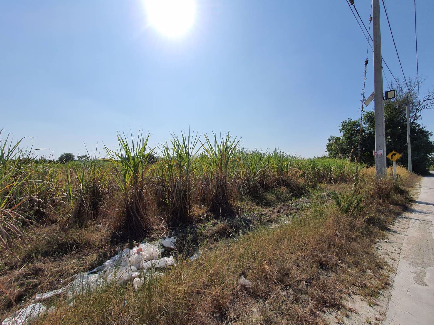 ขายที่ดินบ้านบึง-เนื้อที่-10-ไร่-ชลบุรี