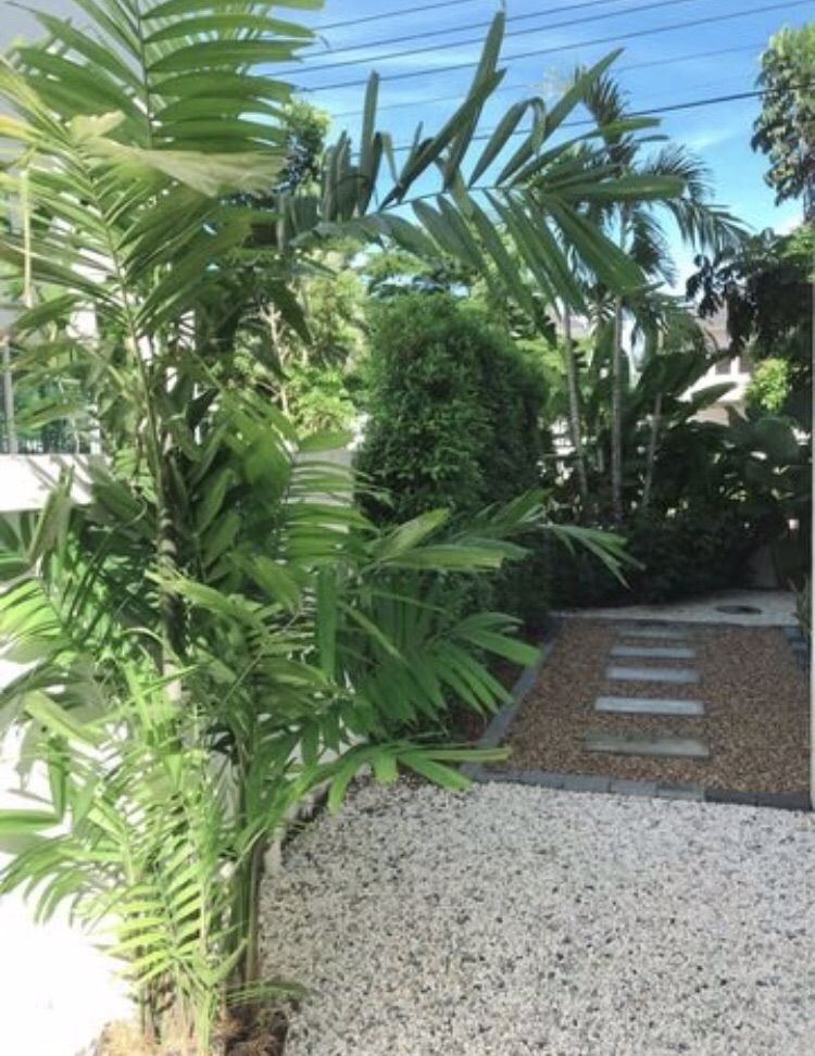 ขาย-บ้านเดี่ยว-แลนซีโอ-คริป-lanceo-crib-รัตนาธิเบศร์-บ้านเดี่ยวสไตล์โมเดิร์น-2-ชั้น-แปลงมุม-ติดสวน