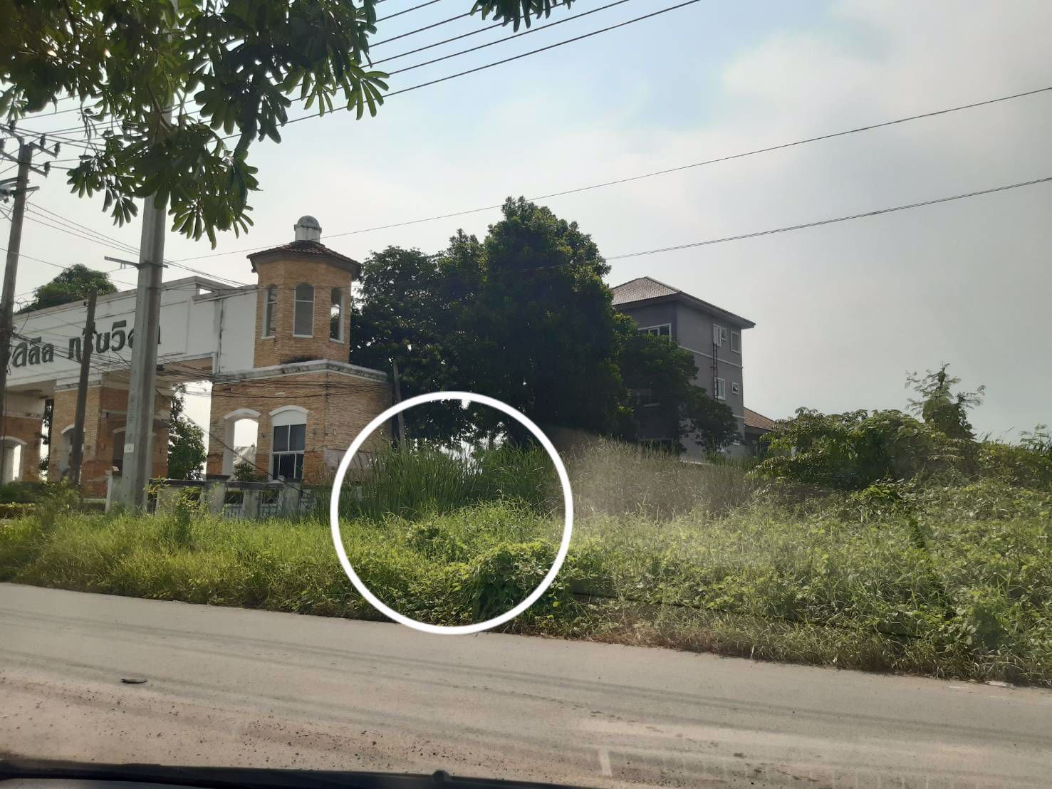 ขายที่ดินติดหมู่บ้านลลิล-ดรีนวิลล์-ฝั่งตรงข้ามกับ-d-condo-ใกล้แอร์พอร์ทลิงค์-บ้านทับช้าง-ประเวศ