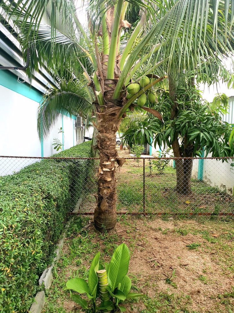 ขายโรงงานพร้อมที่อยู่อาศัย-the-city-factory-ถนนกาญจนาภิเษก-อยู่ใกล้-central-plaza-wesgate-บางบัวทอง