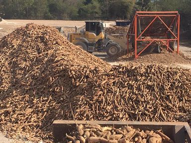 ขายกิจการ-70-ล้านบาท-หรือ-หานายทุน-ร่วมลงทุน-โรงงานผลิต-แปรรูปมันเส้น-ส่งออก