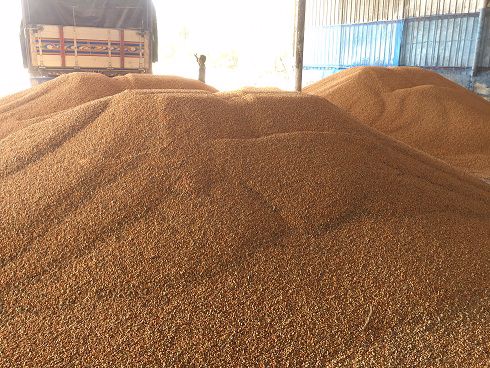 ขายกิจการ-70-ล้านบาท-หรือ-หานายทุน-ร่วมลงทุน-โรงงานผลิต-แปรรูปมันเส้น-ส่งออก