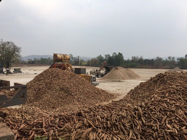 ขายกิจการ-70-ล้านบาท-หรือ-หานายทุน-ร่วมลงทุน-โรงงานผลิต-แปรรูปมันเส้น-ส่งออก