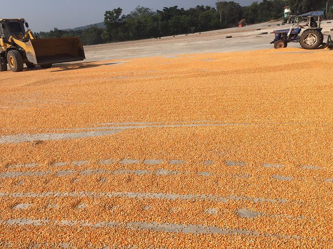 ขายกิจการ-70-ล้านบาท-หรือ-หานายทุน-ร่วมลงทุน-โรงงานผลิต-แปรรูปมันเส้น-ส่งออก