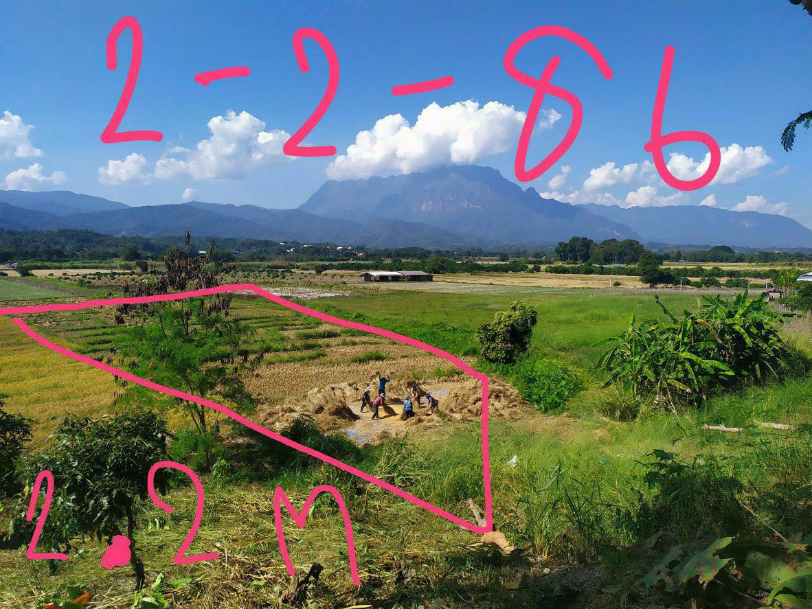 ขายที่ดิน-2-ไร่-3-งาน-86-ตารางวา-เชียงดาว-เชียงใหม่