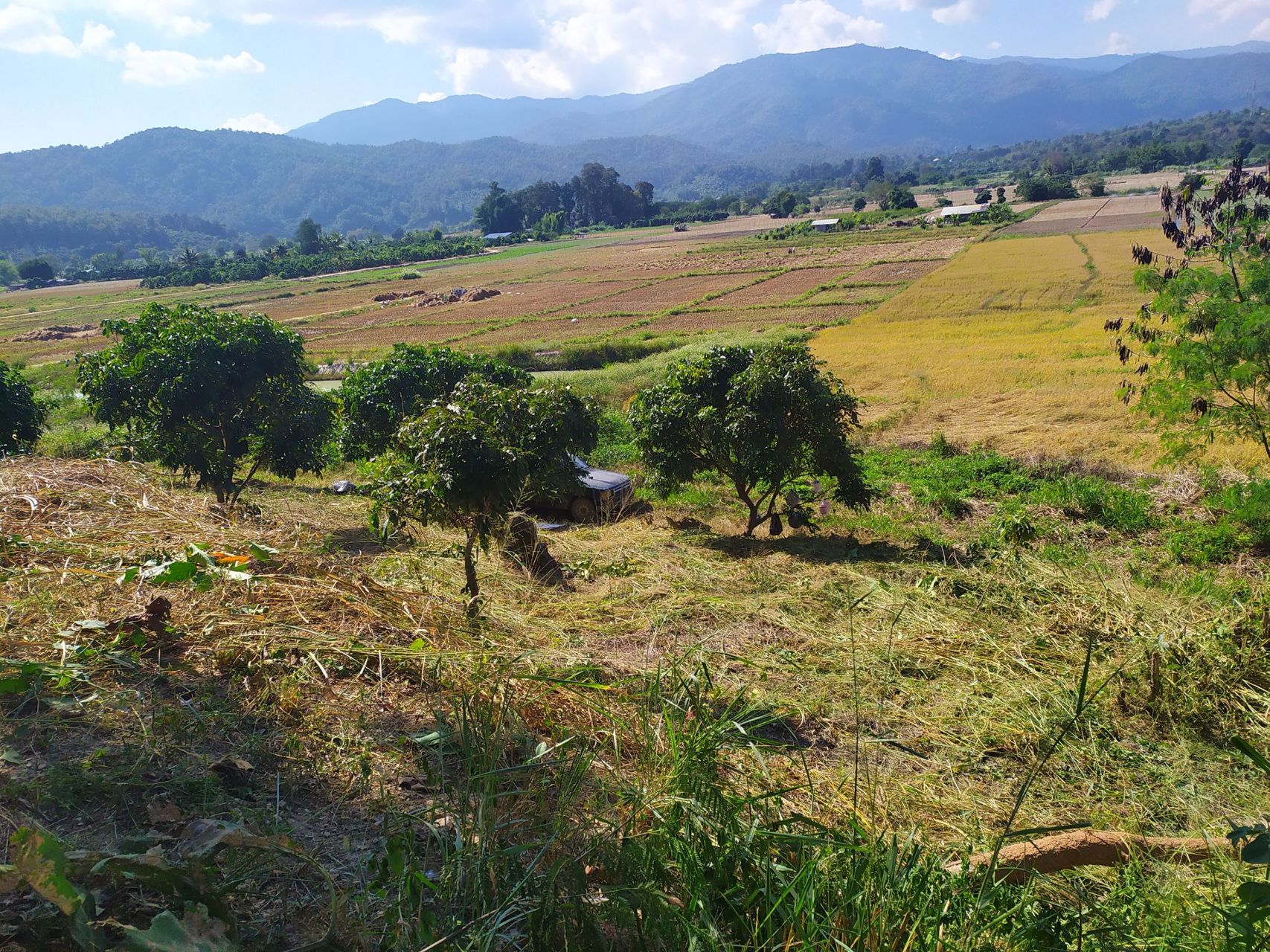 ขายที่ดิน-2-ไร่-3-งาน-86-ตารางวา-เชียงดาว-เชียงใหม่