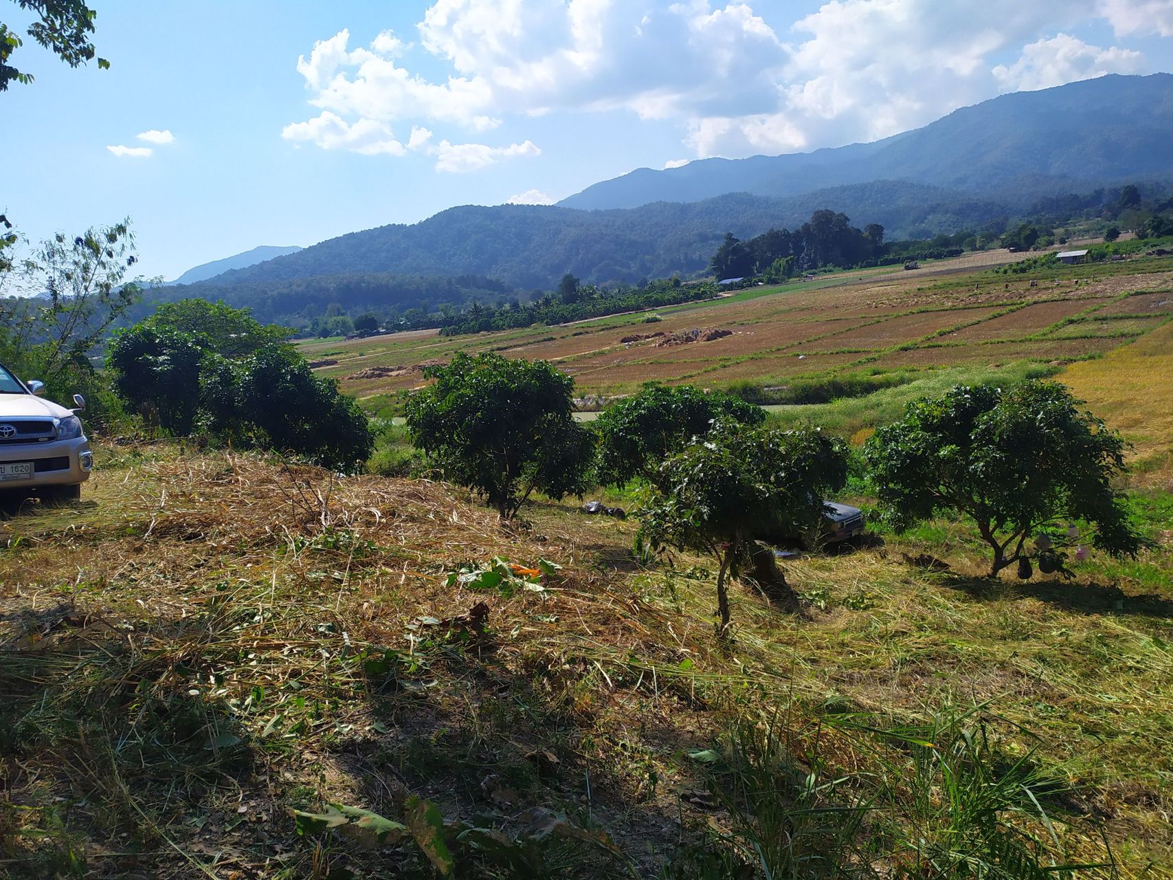 ขายที่ดิน-2-ไร่-3-งาน-86-ตารางวา-เชียงดาว-เชียงใหม่