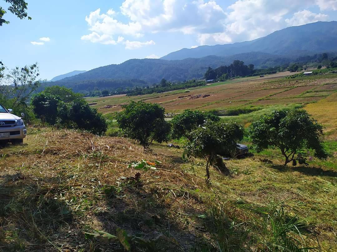 ขายที่ดิน-2-ไร่-3-งาน-86-ตารางวา-เชียงดาว-เชียงใหม่