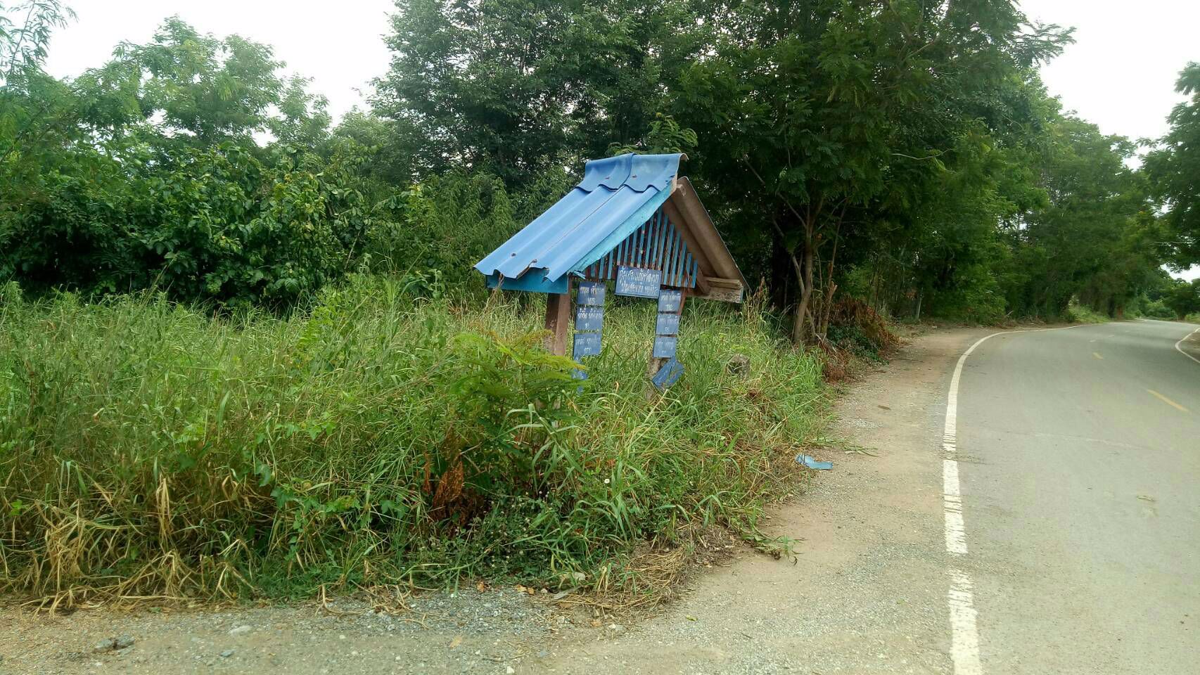 ขายที่ดินยกแปลงหรือแยกแปลงได้-ราคาเริ่มต้นที่-500000-บาท-หันคา-ชัยนาท