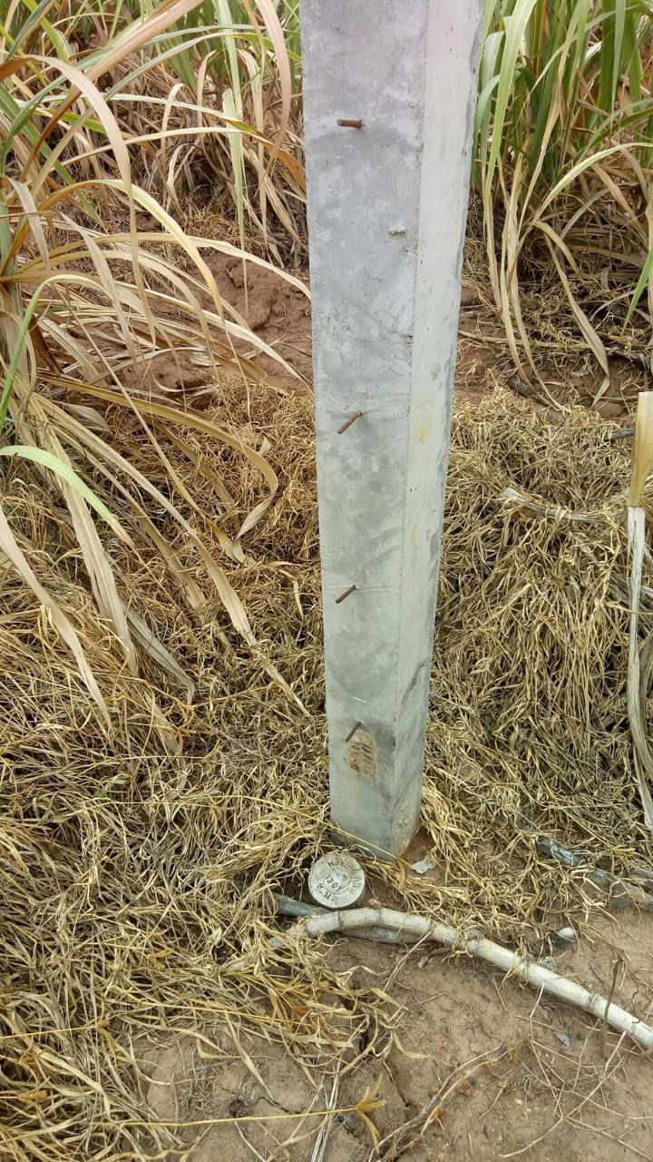 ขายที่ดินยกแปลงหรือแยกแปลงได้-ราคาเริ่มต้นที่-500000-บาท-หันคา-ชัยนาท