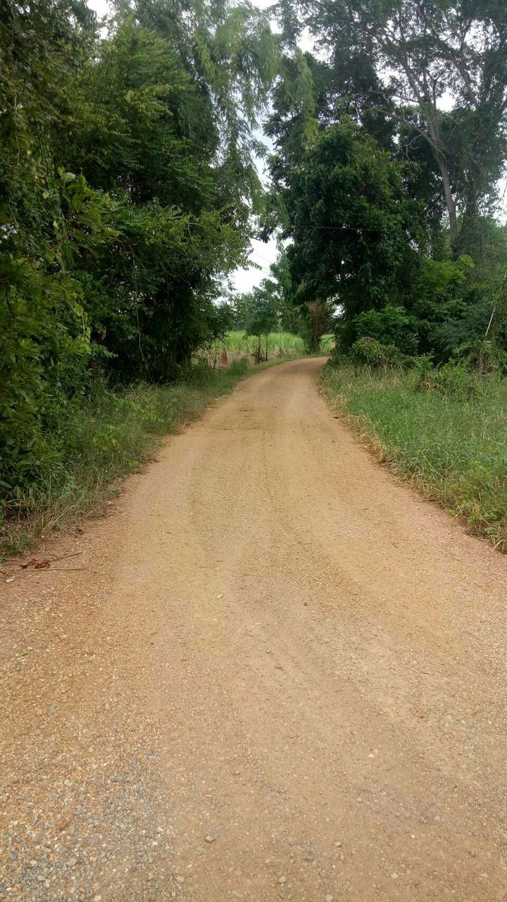 ขายที่ดินยกแปลงหรือแยกแปลงได้-ราคาเริ่มต้นที่-500000-บาท-หันคา-ชัยนาท