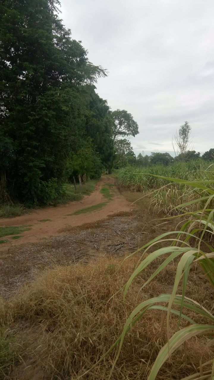 ขายที่ดินยกแปลงหรือแยกแปลงได้-ราคาเริ่มต้นที่-500000-บาท-หันคา-ชัยนาท