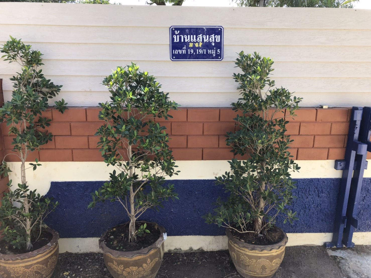 ขาย-ให้เช่า-ที่ดิน-334-ตรว-พร้อมบ้าน-2-หลัง-อเมืองราชบุรี-พร้อมเข้าอยู่ได้เลย